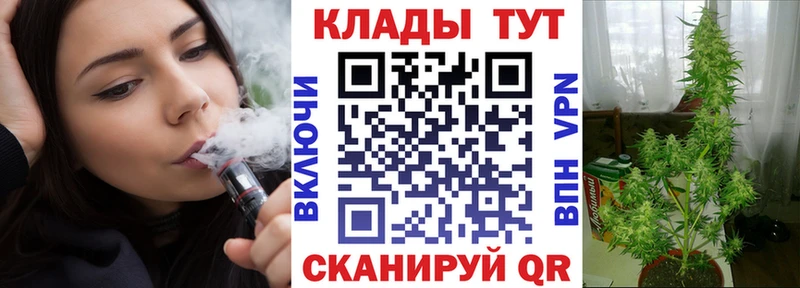 Где найти наркотики Злынка ГАШИШ  Альфа ПВП  Меф  Конопля  Cocaine 