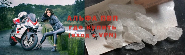 молекула духа Козельск